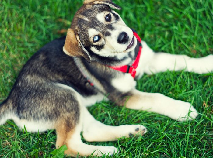 ddos攻击测试工具