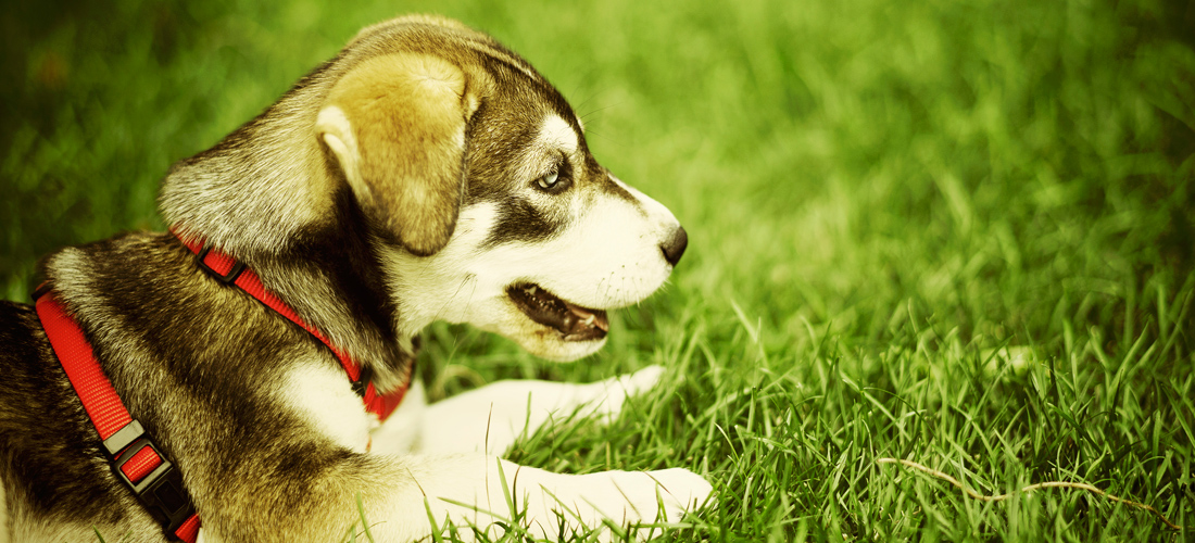 CC在线压力测试